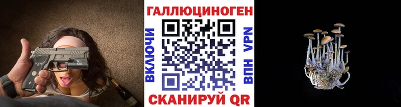 где найти   Усинск  Псилоцибиновые грибы GOLDEN TEACHER 